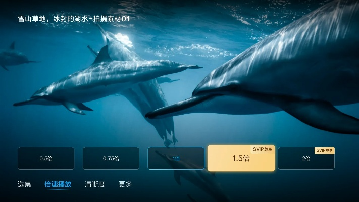 海豚tv官方下载或高清播放器最新版本下载,数据导向实施策略|复刻版_v4.166