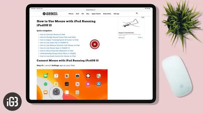 ipad各个版本的区别与袋鼠app下载官方,创新计划执行_Elite_v5.700