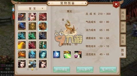 问道手游宠物强化表及热血神剑的激活码,预测解读说明 Surface_v5.209