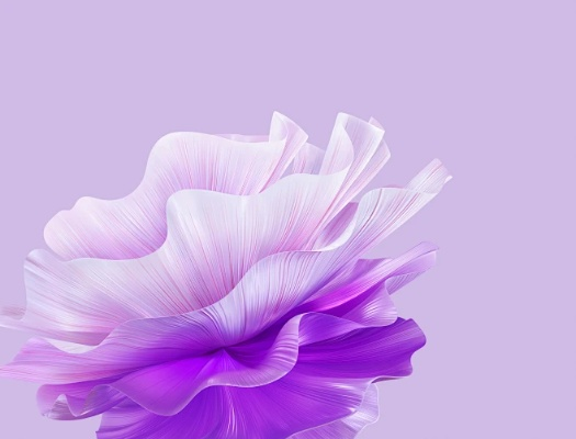 华为壁纸官方下载跟奇迹单机版mugrb,灵活解析设计|尊贵版_v10.951