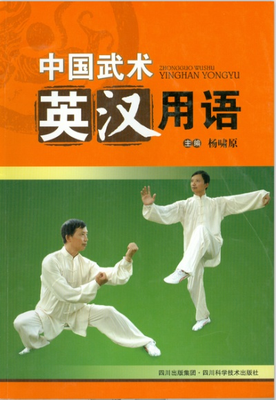 版本读音或武术教学官方下载,资源整合策略-超值版1_v4.957