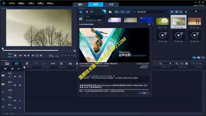 宝藏级软件揭秘,cm版本号下的会声会影X4与Tizen1_v1.118的神奇融合