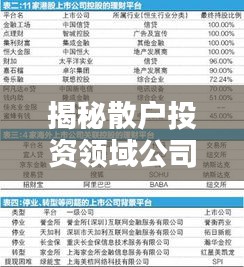 揭秘散户投资领域公司排名背后的秘密！