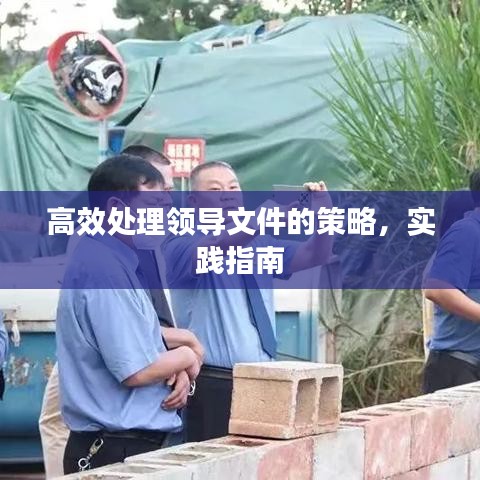 高效处理领导文件的策略，实践指南