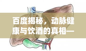 百度揭秘，动脉健康与饮酒的真相——饮酒过量对动脉健康的隐患