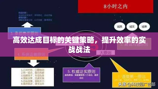 高效达成目标的关键策略，提升效率的实战战法