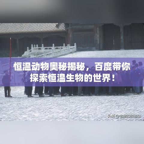 恒温动物奥秘揭秘，百度带你探索恒温生物的世界！