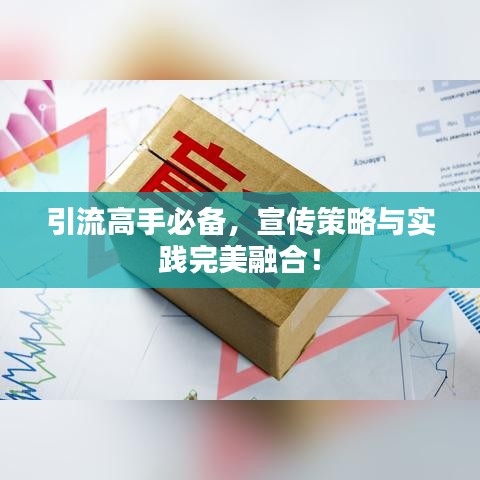 引流高手必备，宣传策略与实践完美融合！
