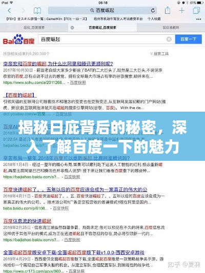 揭秘日庇背后的秘密，深入了解百度一下的魅力与价值
