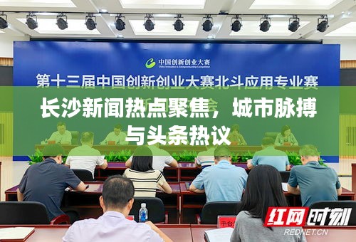 长沙新闻热点聚焦，城市脉搏与头条热议