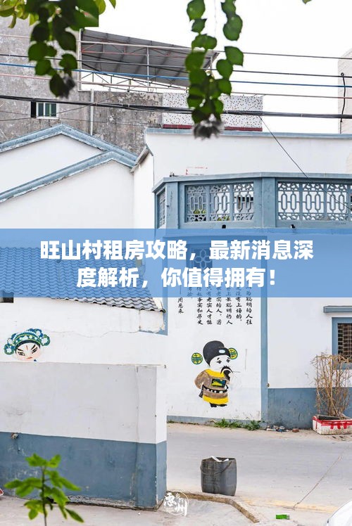 旺山村租房攻略，最新消息深度解析，你值得拥有！