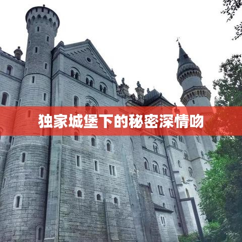 独家城堡下的秘密深情吻
