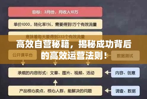 高效自营秘籍，揭秘成功背后的高效运营法则！