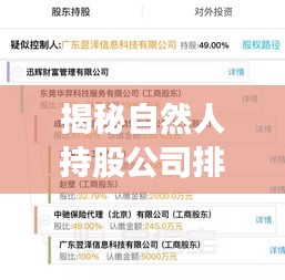 揭秘自然人持股公司排行榜，探寻财富背后的力量巨头