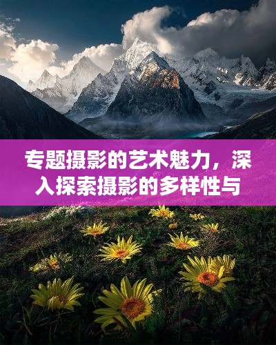 专题摄影的艺术魅力，深入探索摄影的多样性与独特魅力