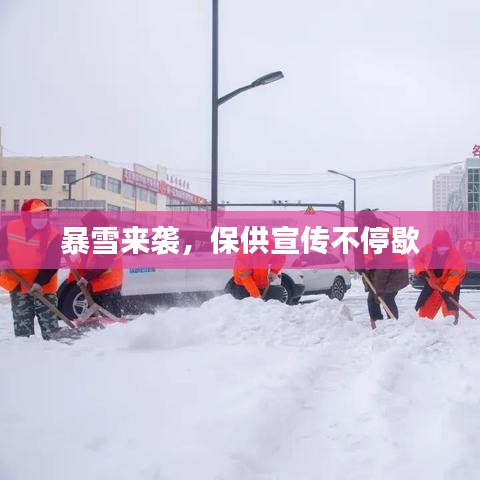 暴雪来袭，保供宣传不停歇