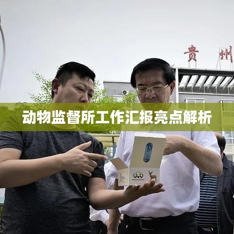 动物监督所工作汇报亮点解析