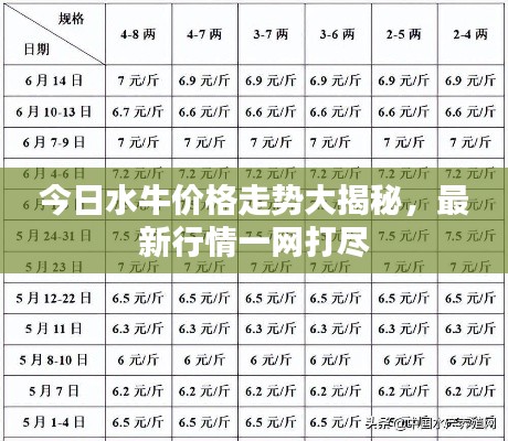 今日水牛价格走势大揭秘，最新行情一网打尽