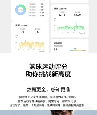 龙飞九五
