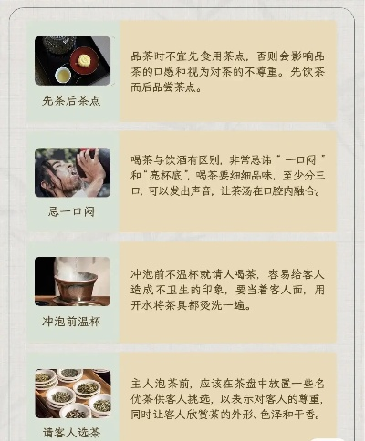 品茗最新版本选择指南，为入门与专业人士量身打造