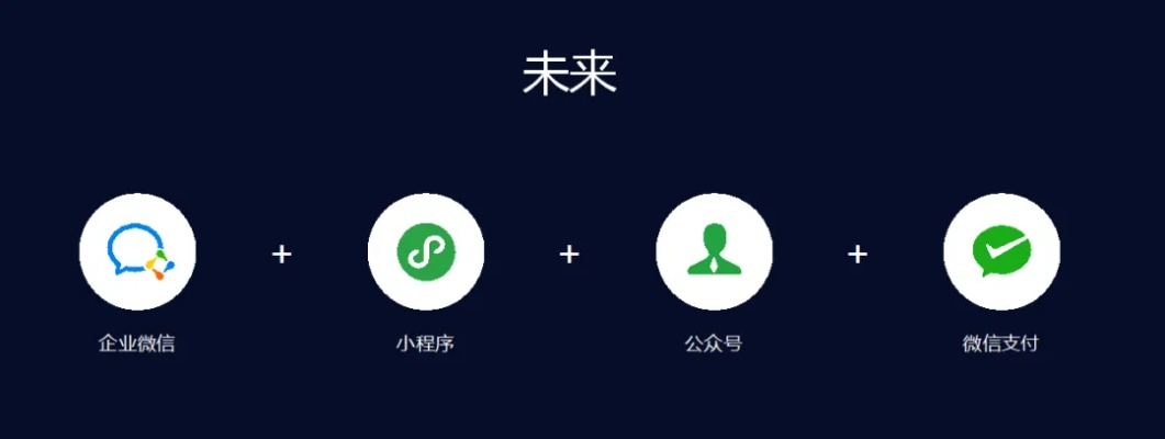 微信简单版本,未来规划解析说明_专属款1_v7.222