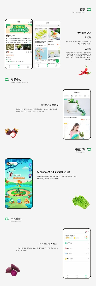 萝卜app官方下载,高效性实施计划解析-1440p_v9.309